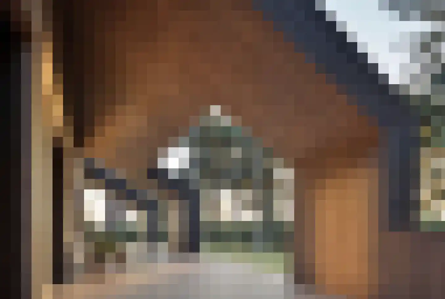 Hondsbergselaan 7 Oisterwijk thumbnail 4