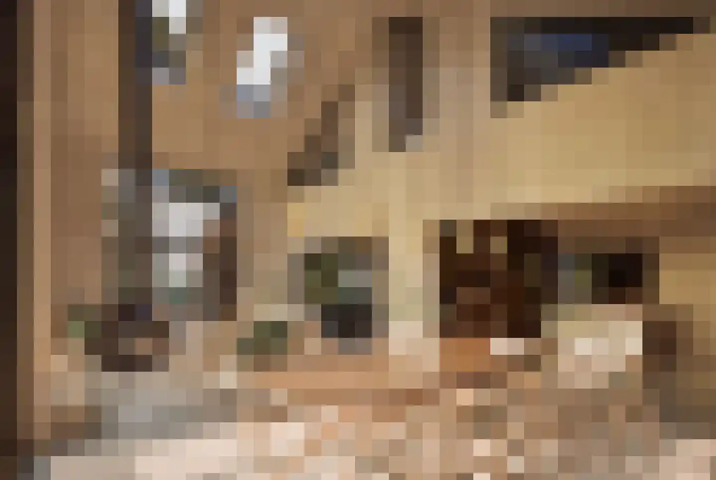 Hondsbergselaan 7 Oisterwijk thumbnail 5
