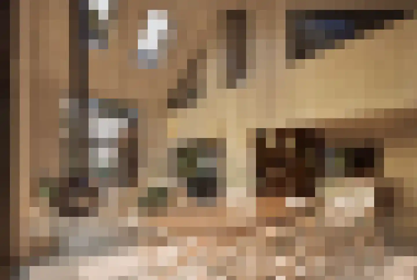 Hondsbergselaan 7 Oisterwijk thumbnail 5