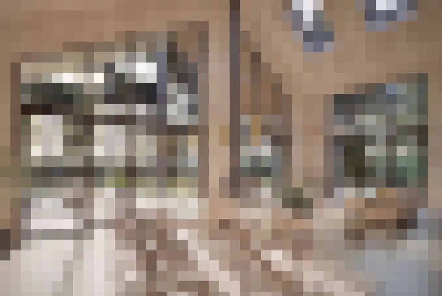 Hondsbergselaan 7 Oisterwijk thumbnail 7