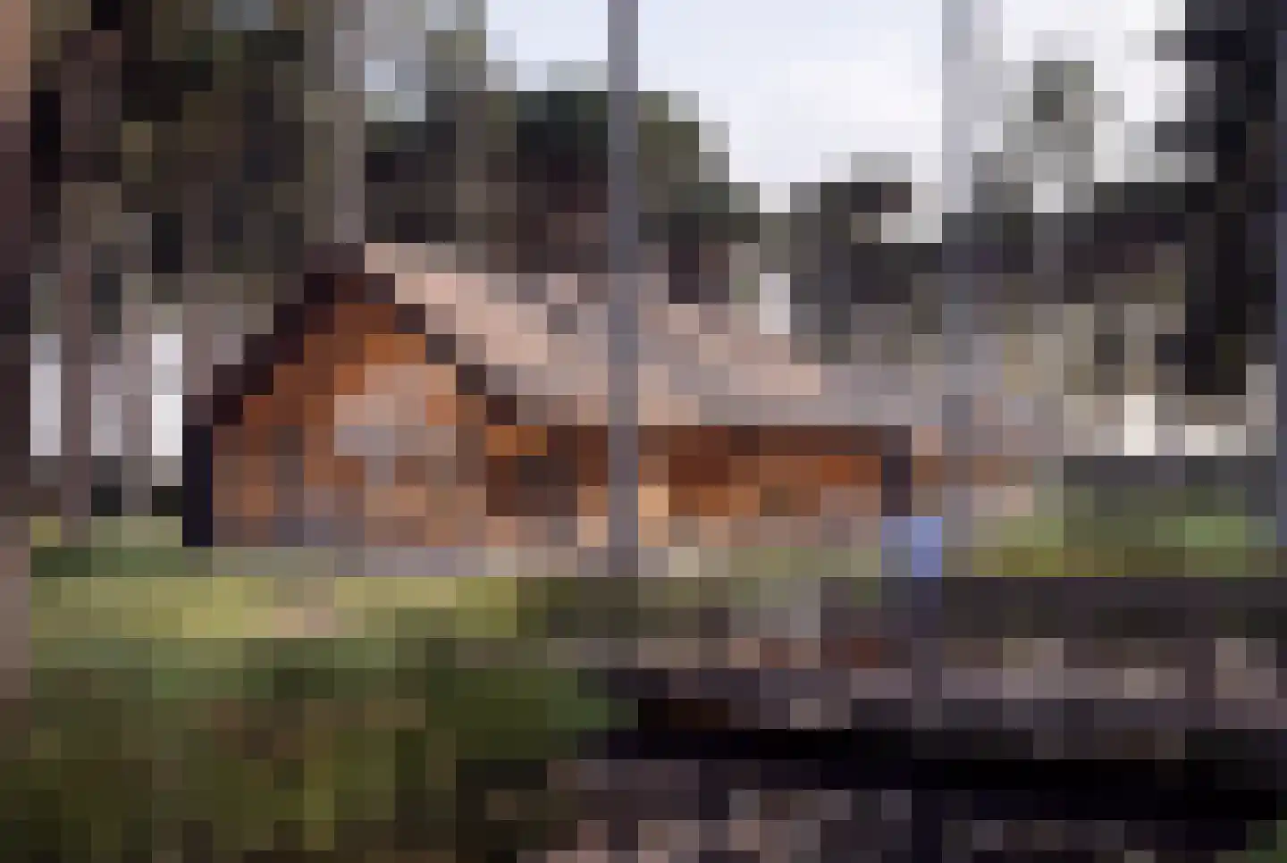 Hondsbergselaan 7 Oisterwijk thumbnail 9