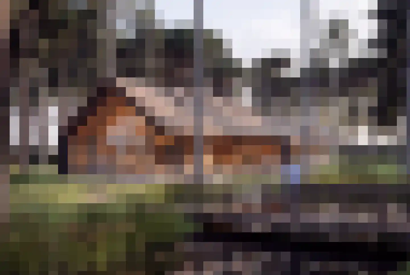 Hondsbergselaan 7 Oisterwijk thumbnail 9