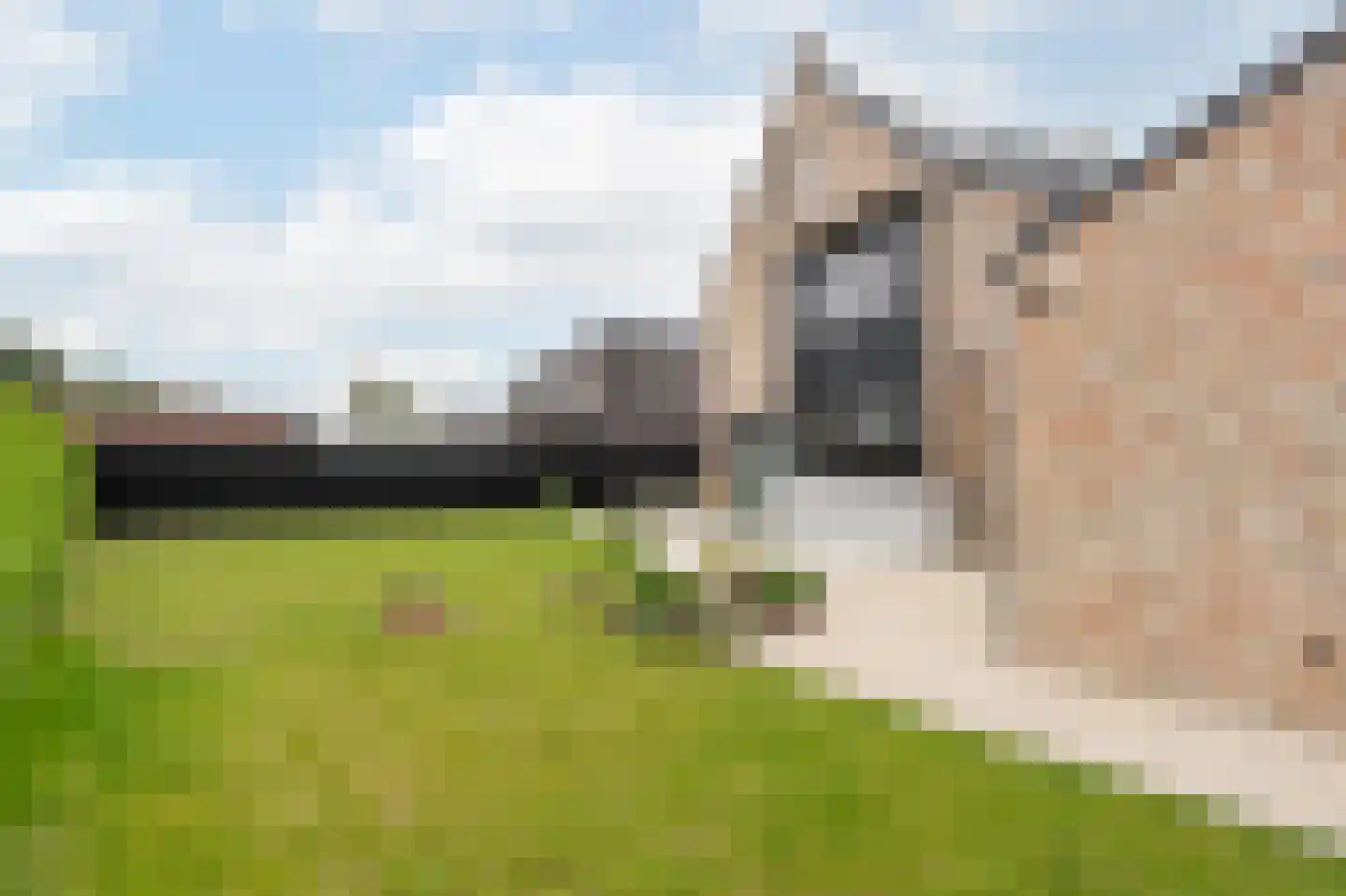 Hondsbosserdijk 123 Luyksgestel thumbnail 72