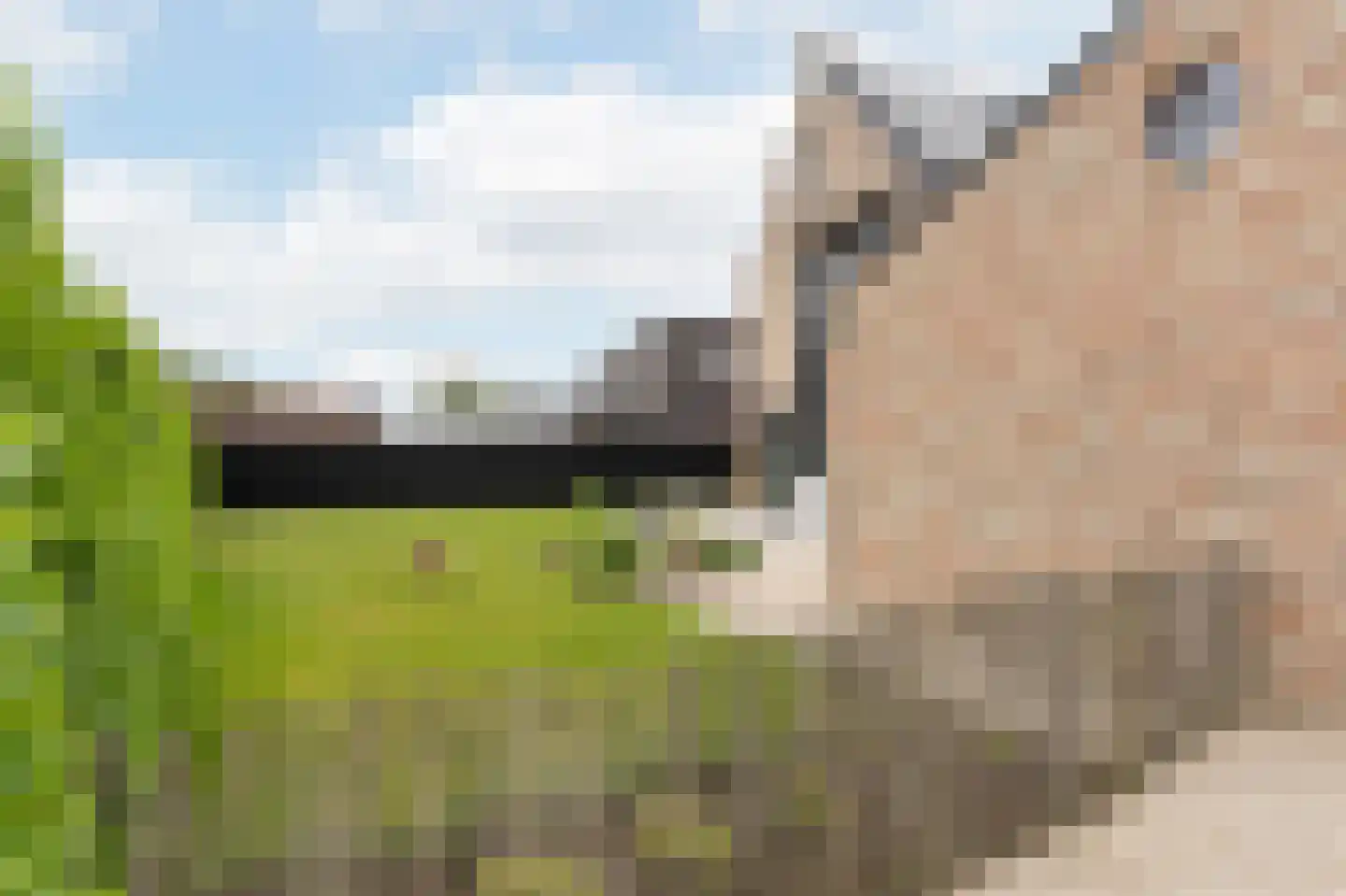 Hondsbosserdijk 123 Luyksgestel thumbnail 73