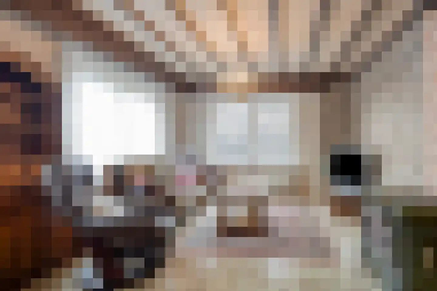 Hondsbosserdijk 39 Luyksgestel thumbnail 4