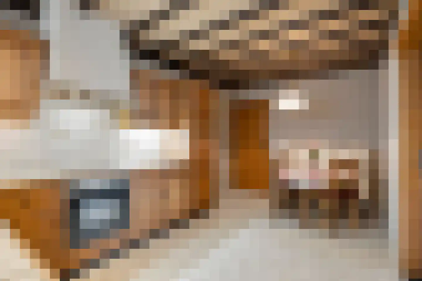 Hondsbosserdijk 39 Luyksgestel thumbnail 8