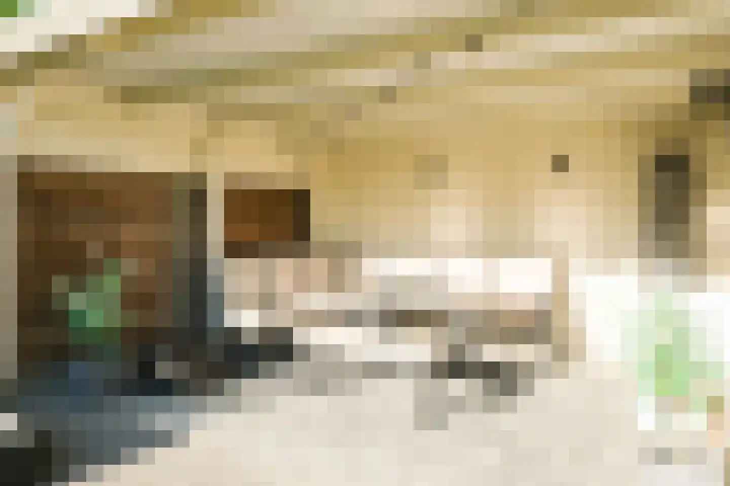 Hondsbosserdijk 7 A Luyksgestel thumbnail 28