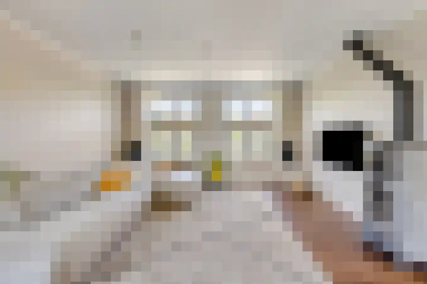 Hondsbosserdijk 88 Luyksgestel thumbnail 11