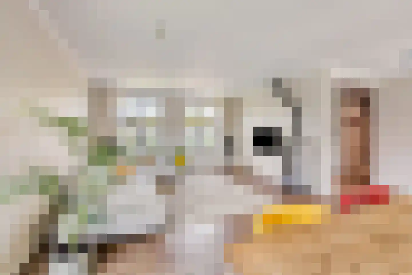 Hondsbosserdijk 88 Luyksgestel thumbnail 12