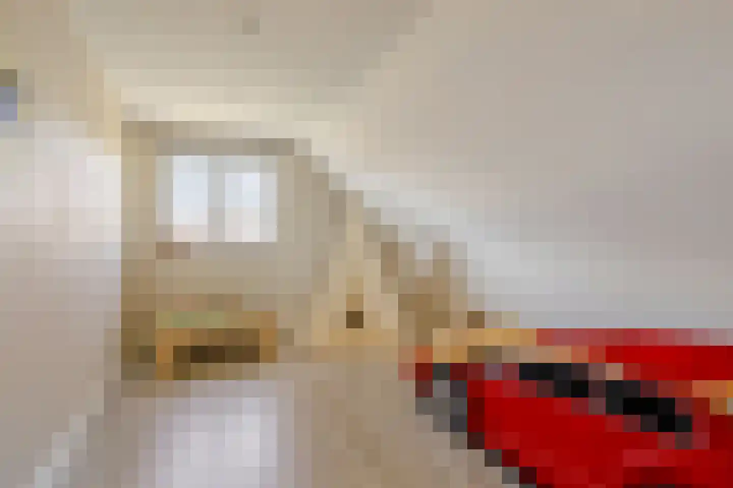 Hondsbosserdijk 88 Luyksgestel thumbnail 44