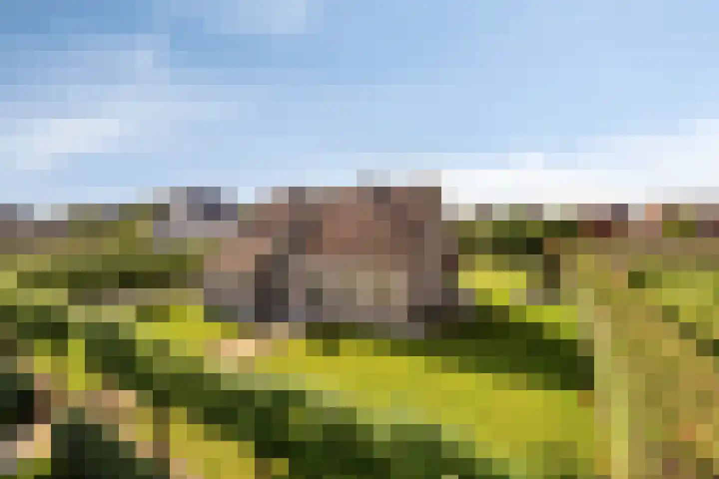Hondsbosserdijk 88 Luyksgestel thumbnail 5