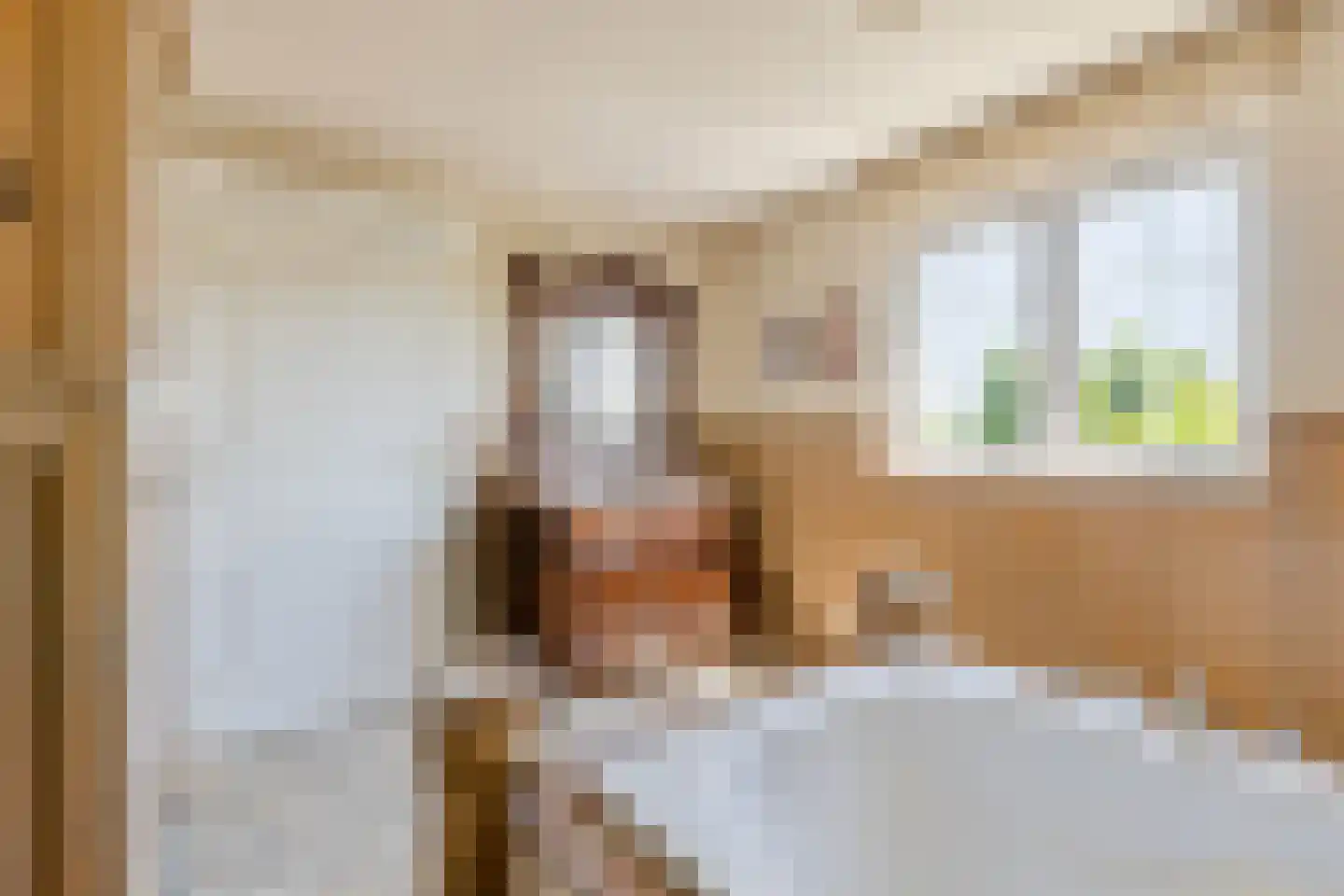 Hondsbosserdijk 88 Luyksgestel thumbnail 54