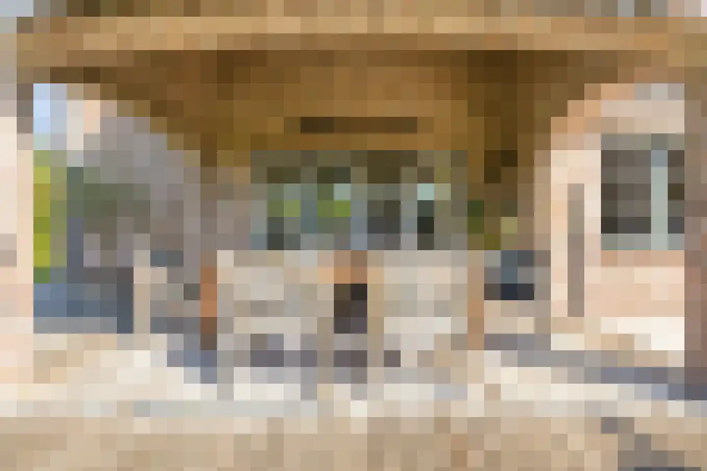 Hondsbosserdijk 88 Luyksgestel thumbnail 63