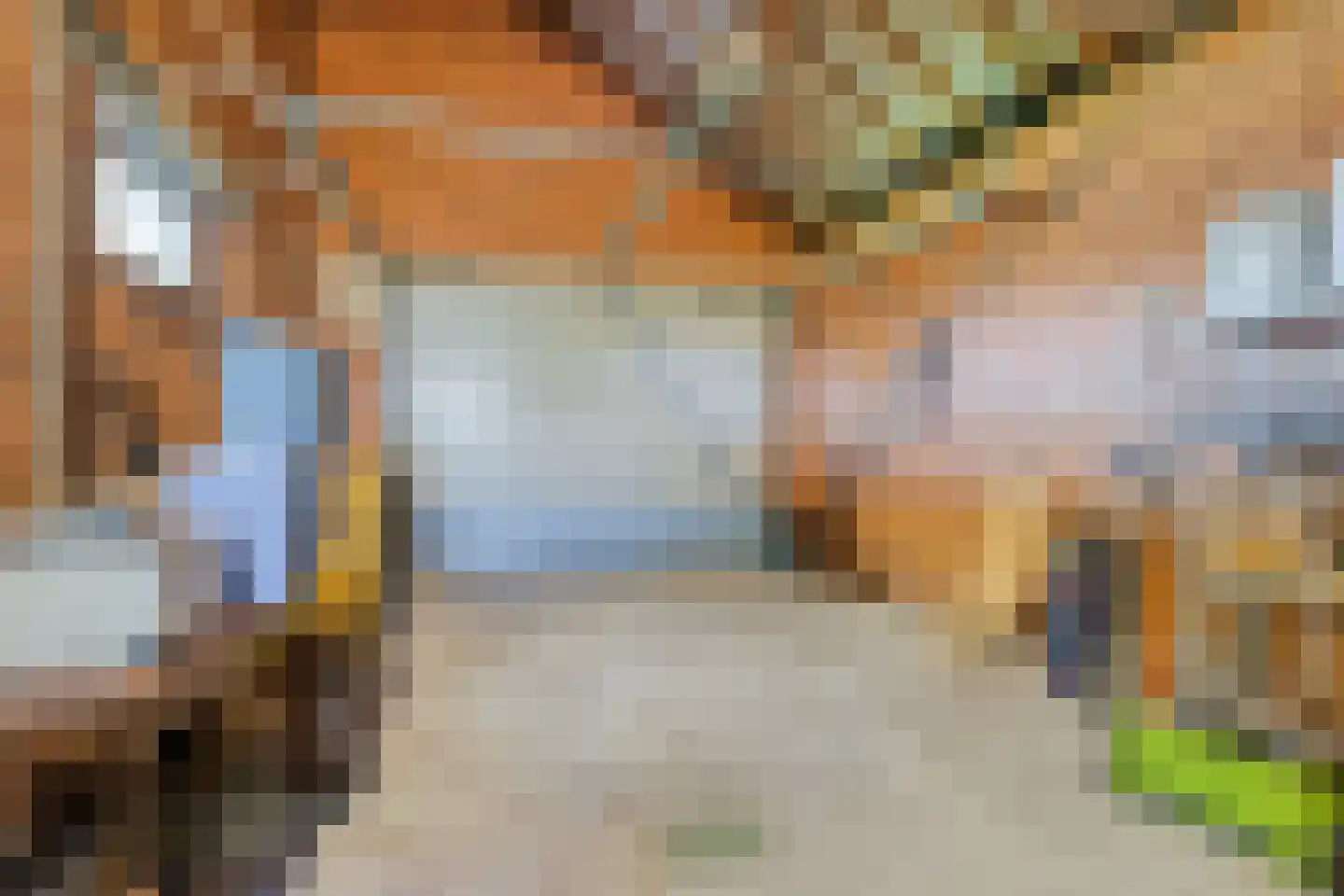 Hondsbosserdijk 88 Luyksgestel thumbnail 66