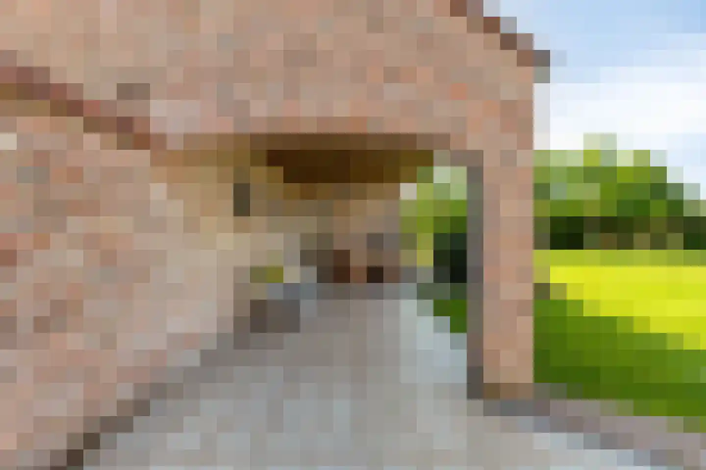 Hondsbosserdijk 88 Luyksgestel thumbnail 70