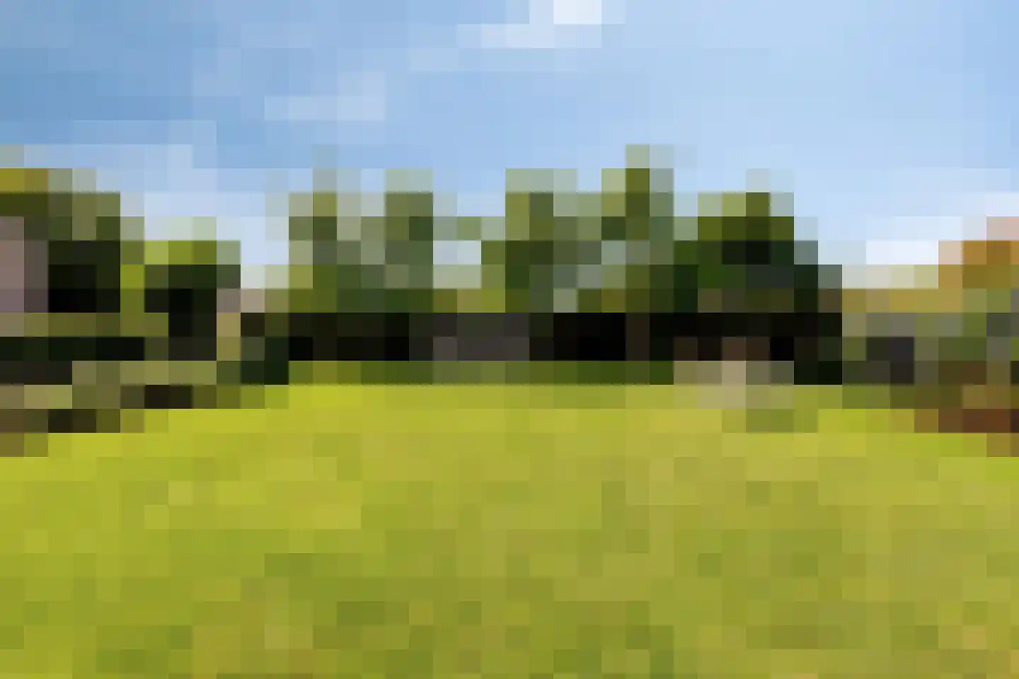 Hondsbosserdijk 88 Luyksgestel thumbnail 73