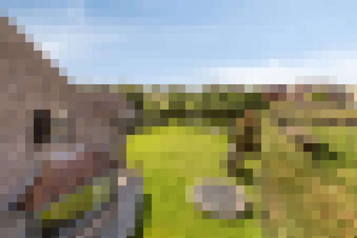 Hondsbosserdijk 88 Luyksgestel thumbnail 79