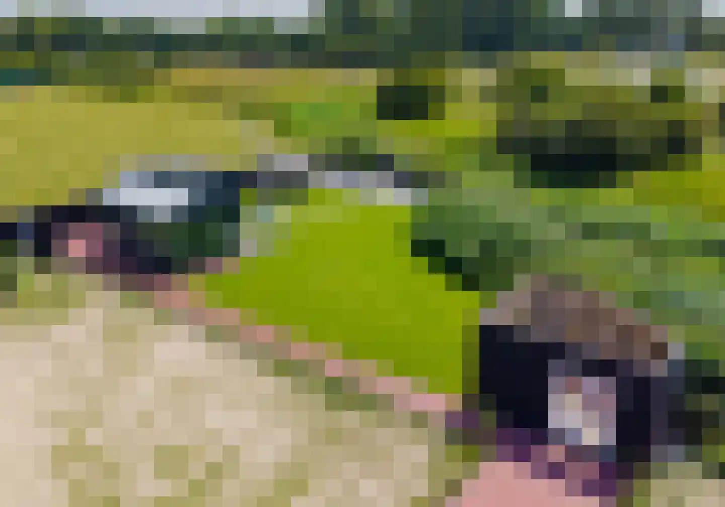 Hondsbosseweg 7 Heemskerk thumbnail 10