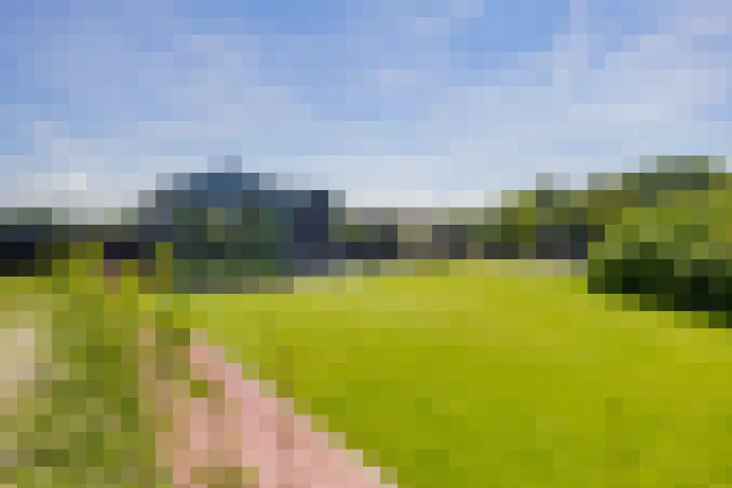 Hondsbosseweg 7 Heemskerk thumbnail 18