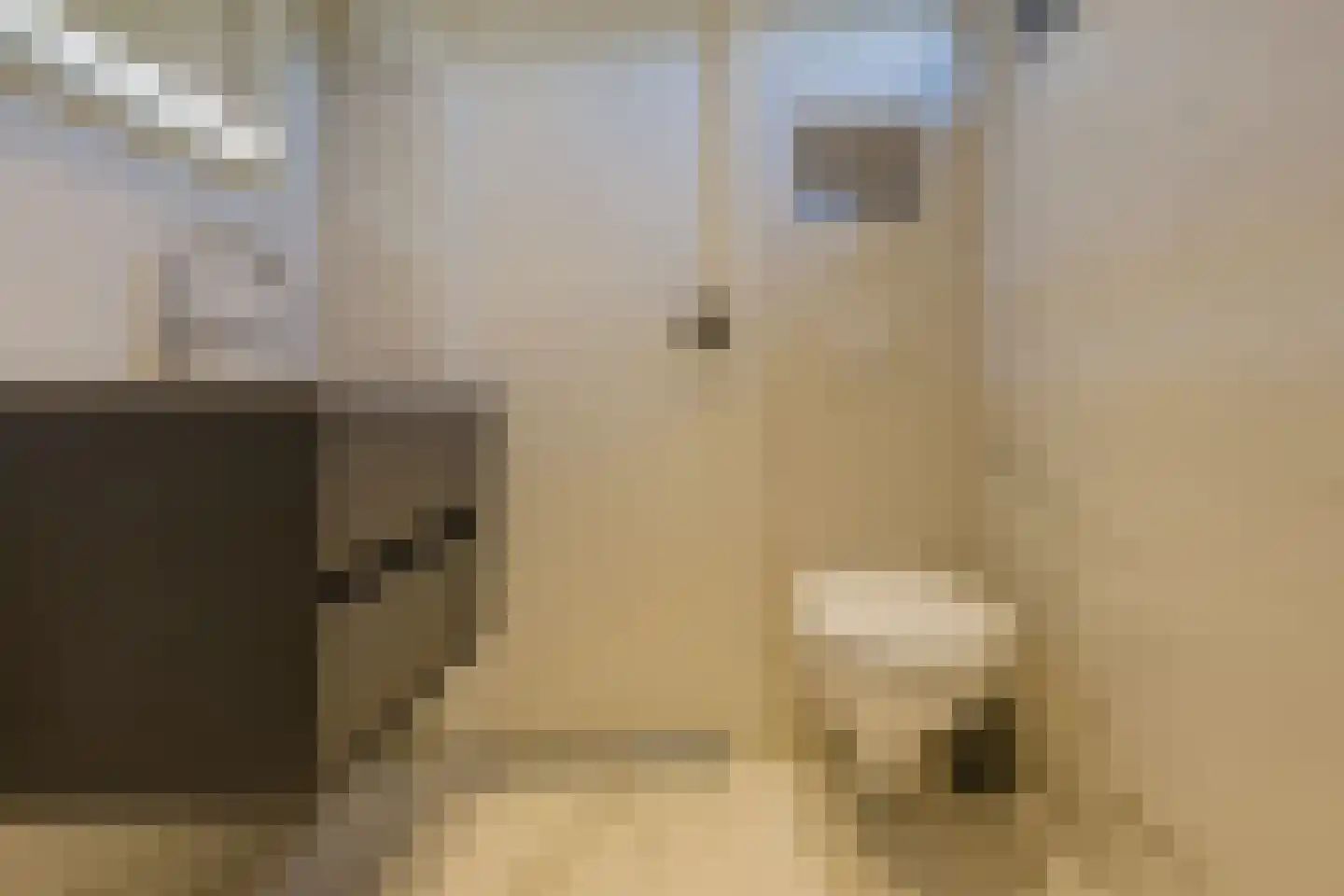 Hondsbosseweg 7 Heemskerk thumbnail 35