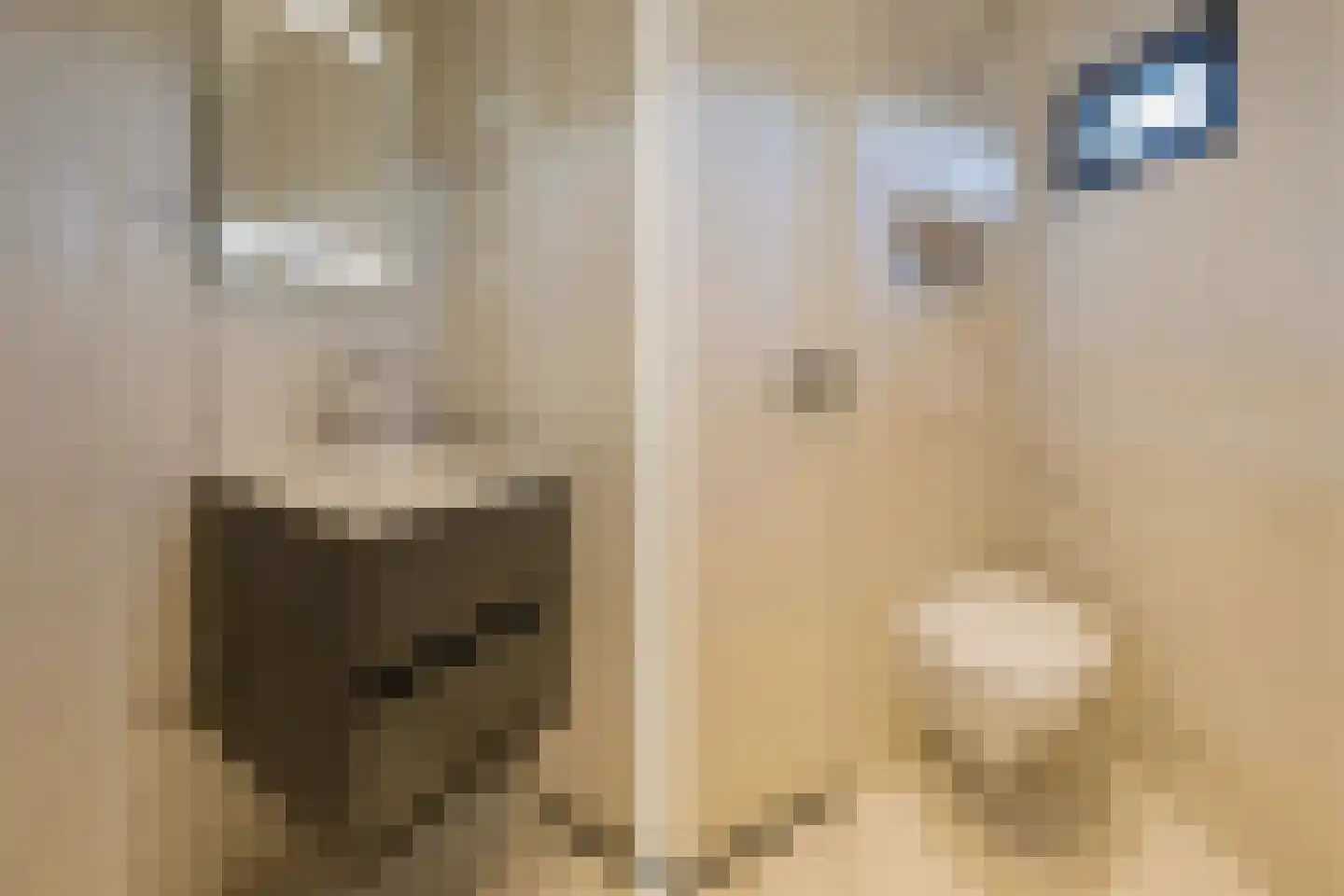 Hondsbosseweg 7 Heemskerk thumbnail 36