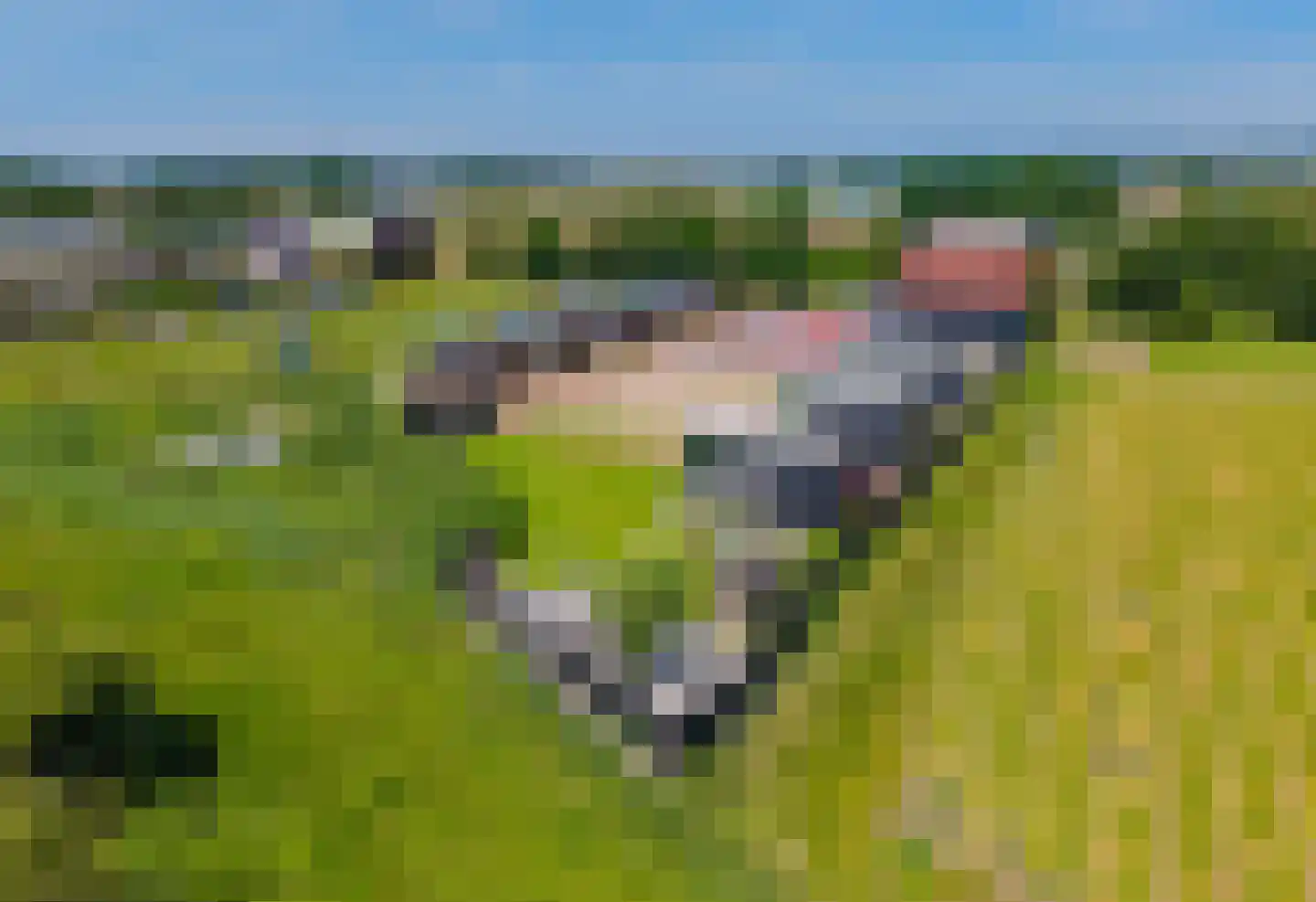 Hondsbosseweg 7 Heemskerk thumbnail 4