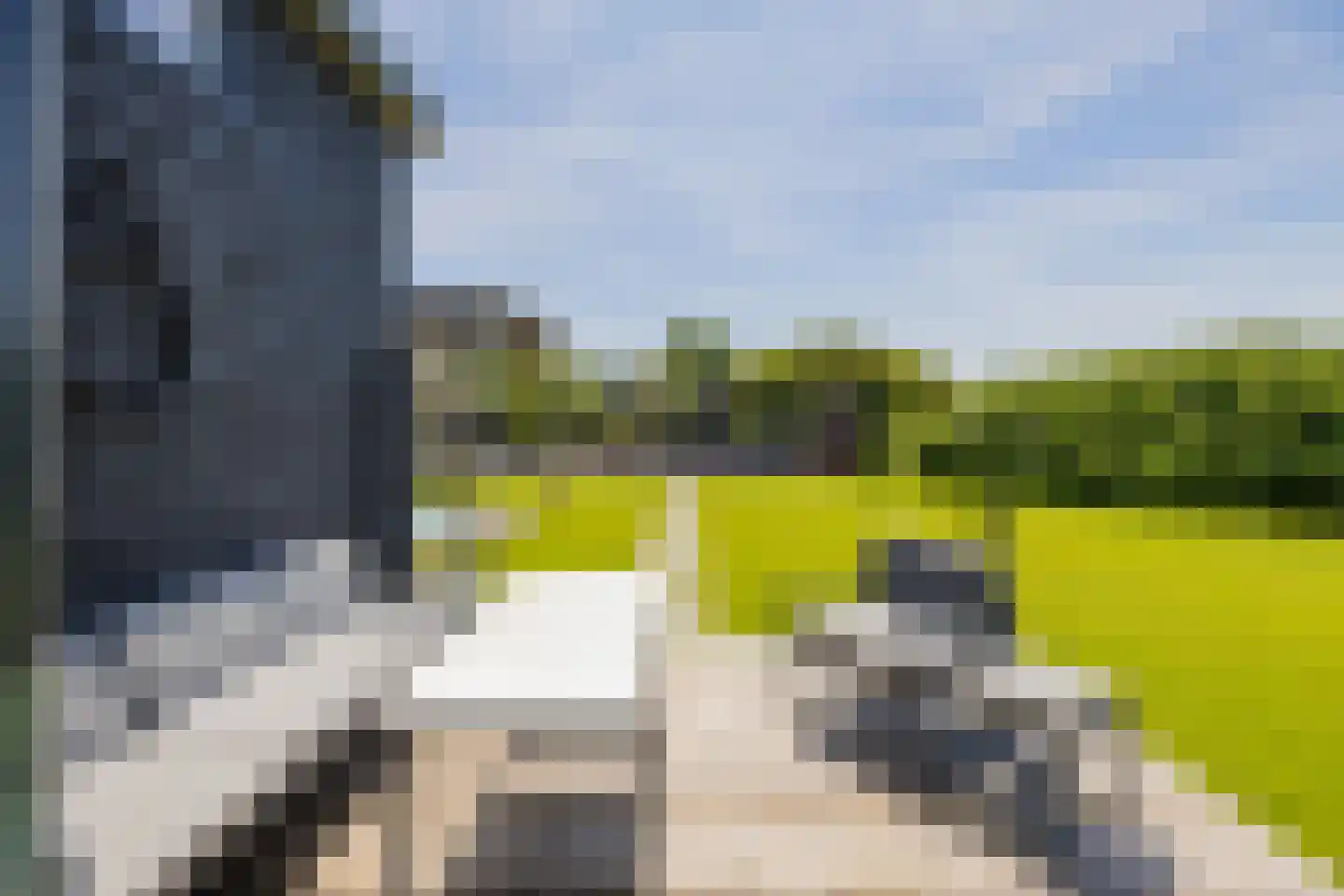 Hondsbosseweg 7 Heemskerk thumbnail 46