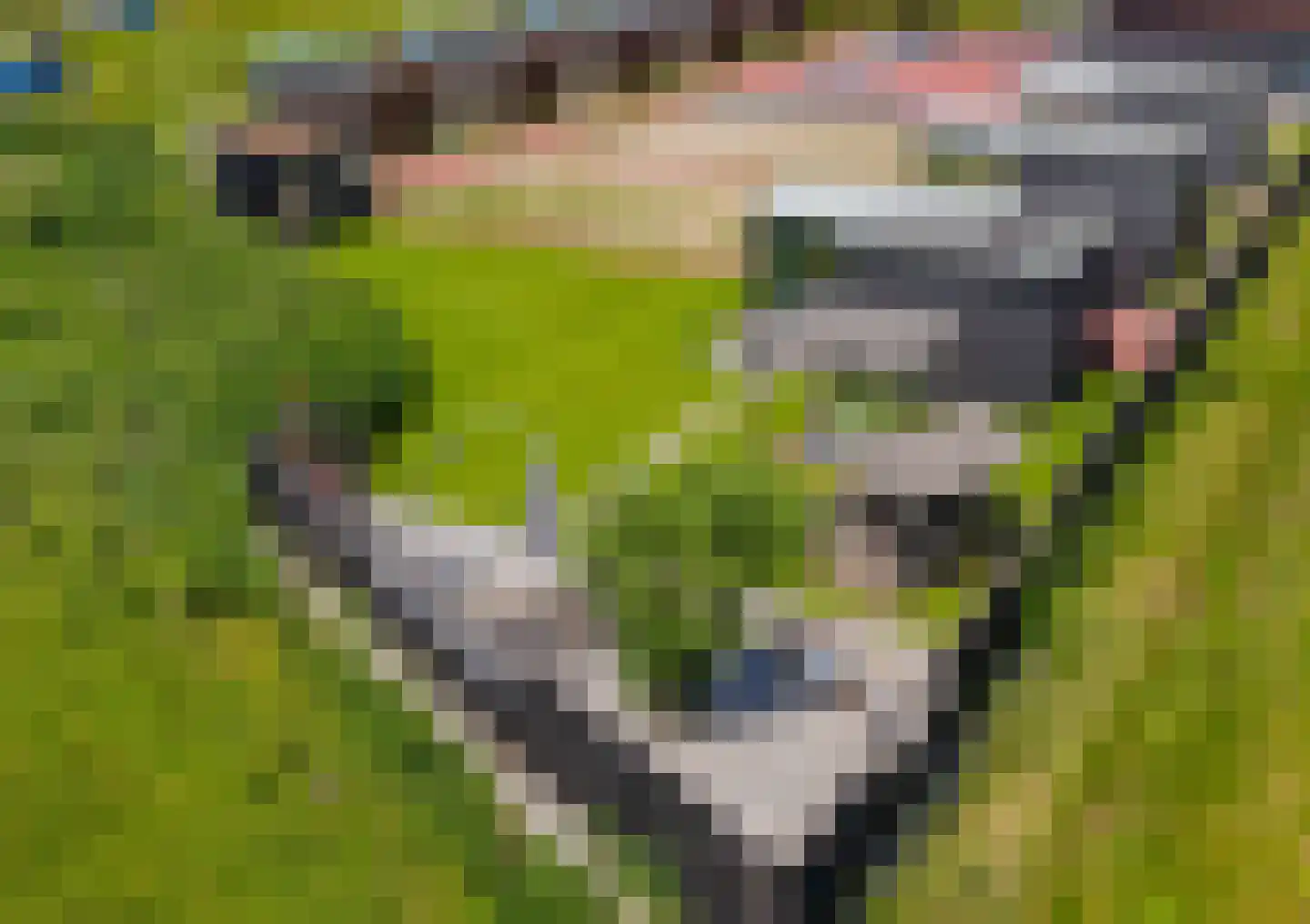 Hondsbosseweg 7 Heemskerk thumbnail 5