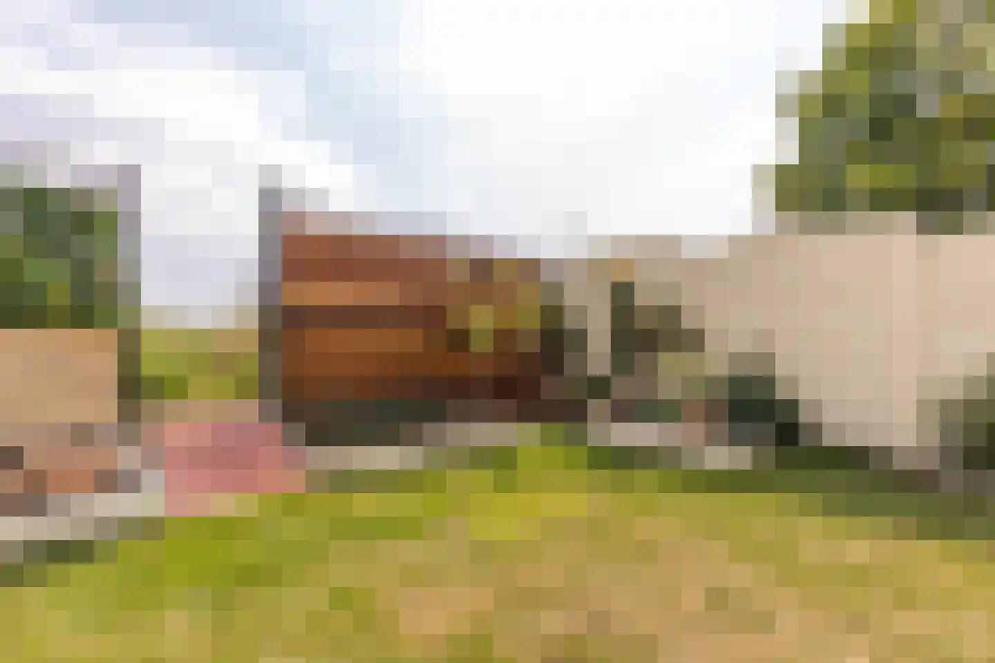 Hondsbroek 74 Born thumbnail 21