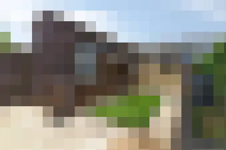 Hondschotestraat 16 Etten-Leur thumbnail 24