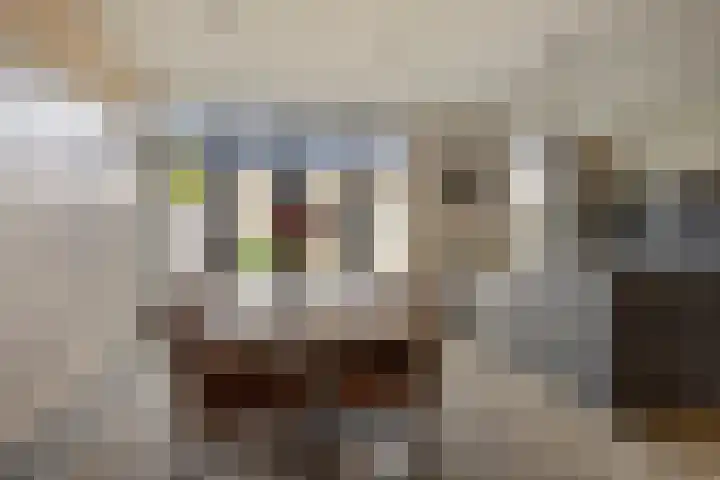 Hondschotestraat 3 Etten-Leur thumbnail 14