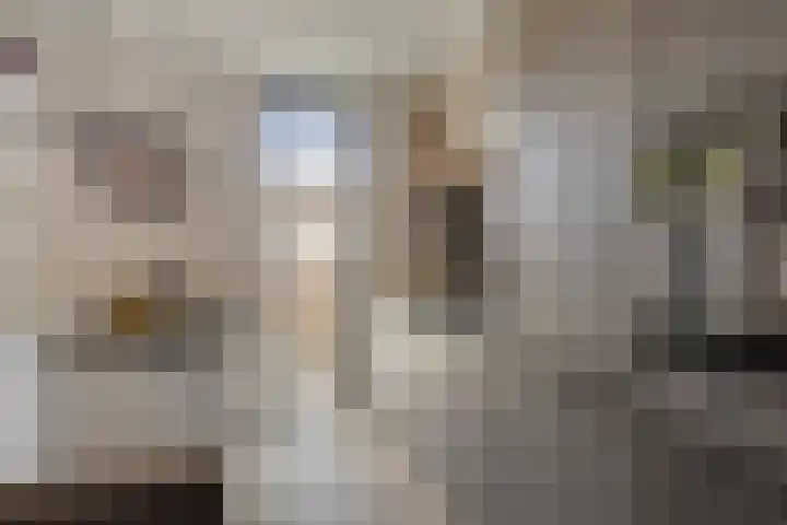 Hondschotestraat 3 Etten-Leur thumbnail 17