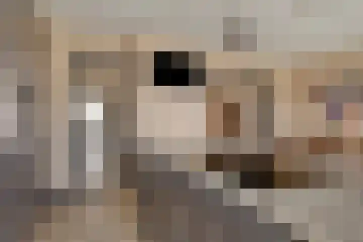 Hondschotestraat 3 Etten-Leur thumbnail 18