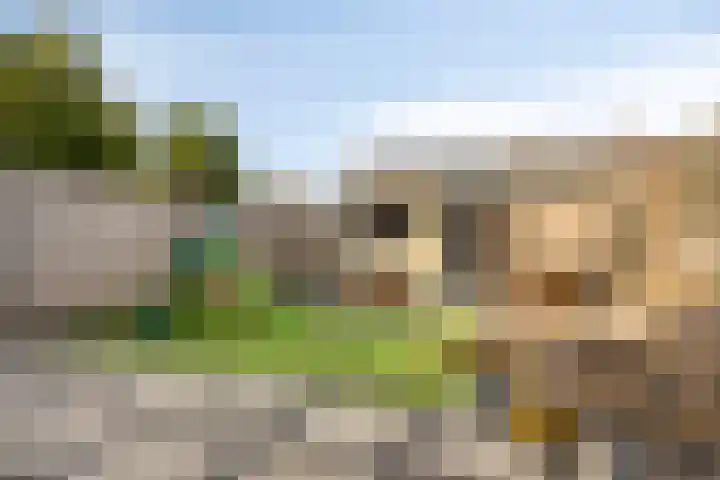 Hondschotestraat 3 Etten-Leur thumbnail 34