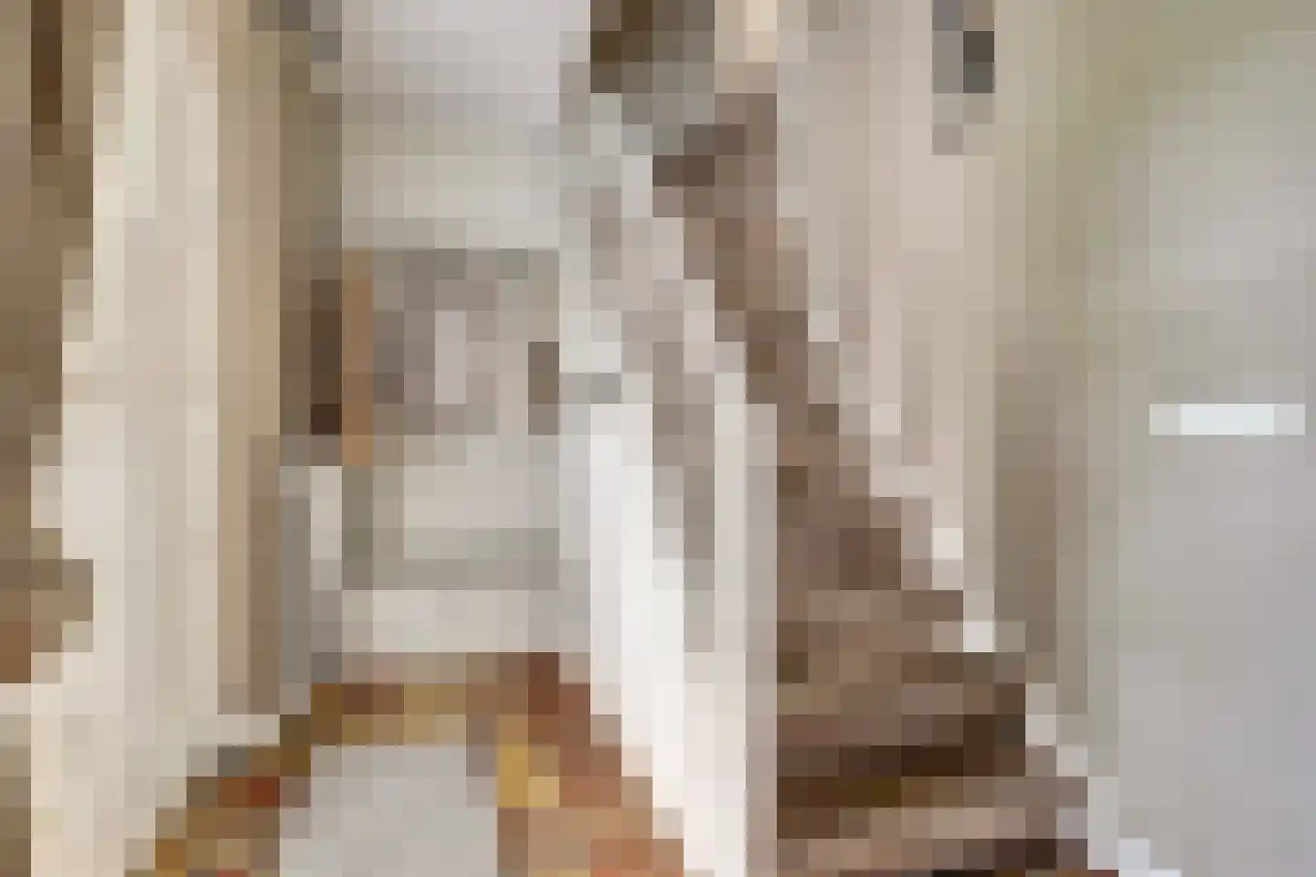 Hondsdijk 5 Escharen thumbnail 13