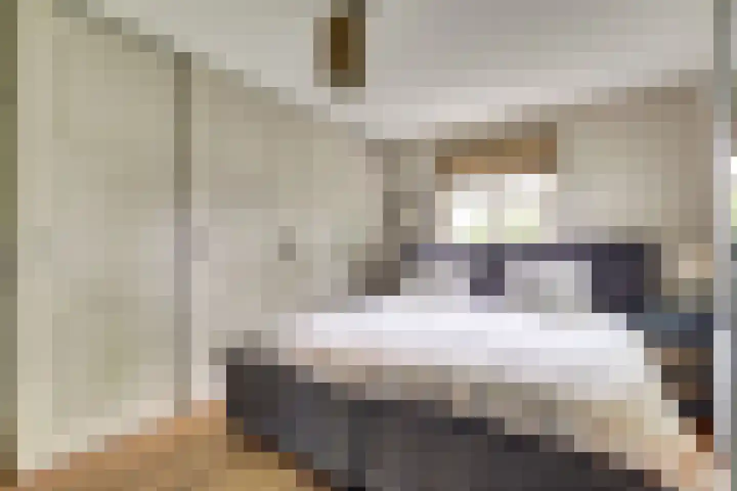 Hondsdijk 5 Escharen thumbnail 15