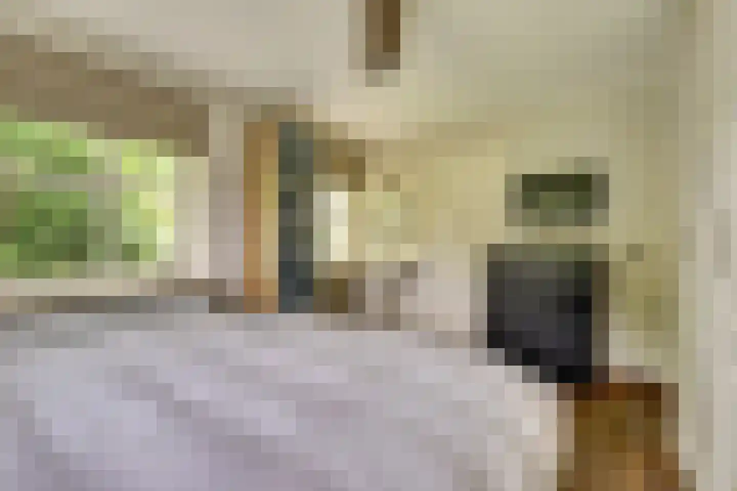 Hondsdijk 5 Escharen thumbnail 16