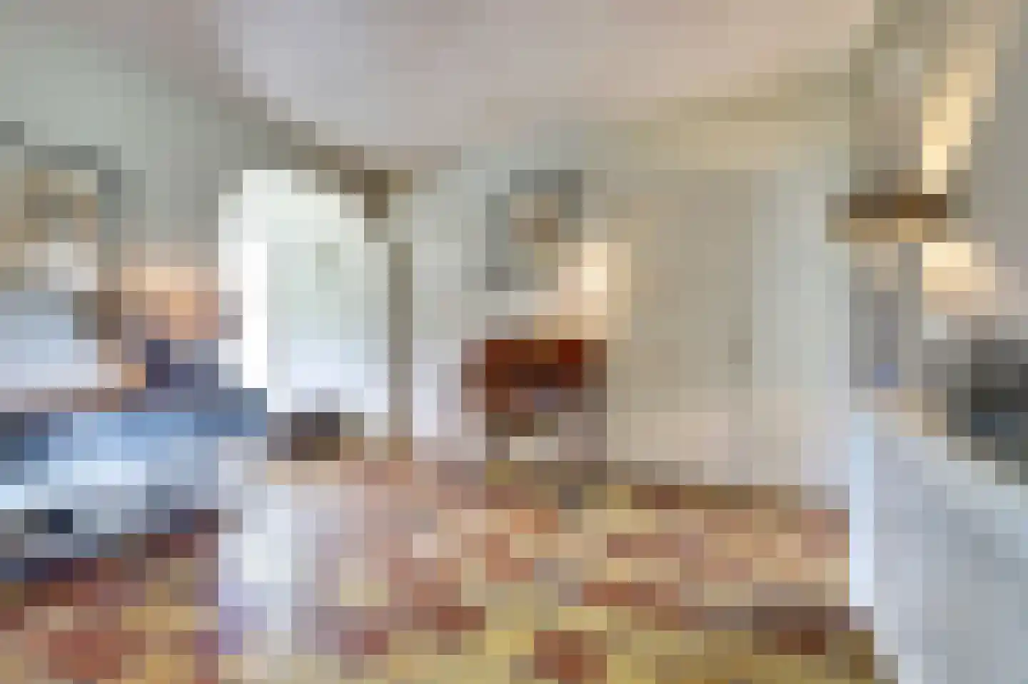 Hondsdijk 5 Escharen thumbnail 18