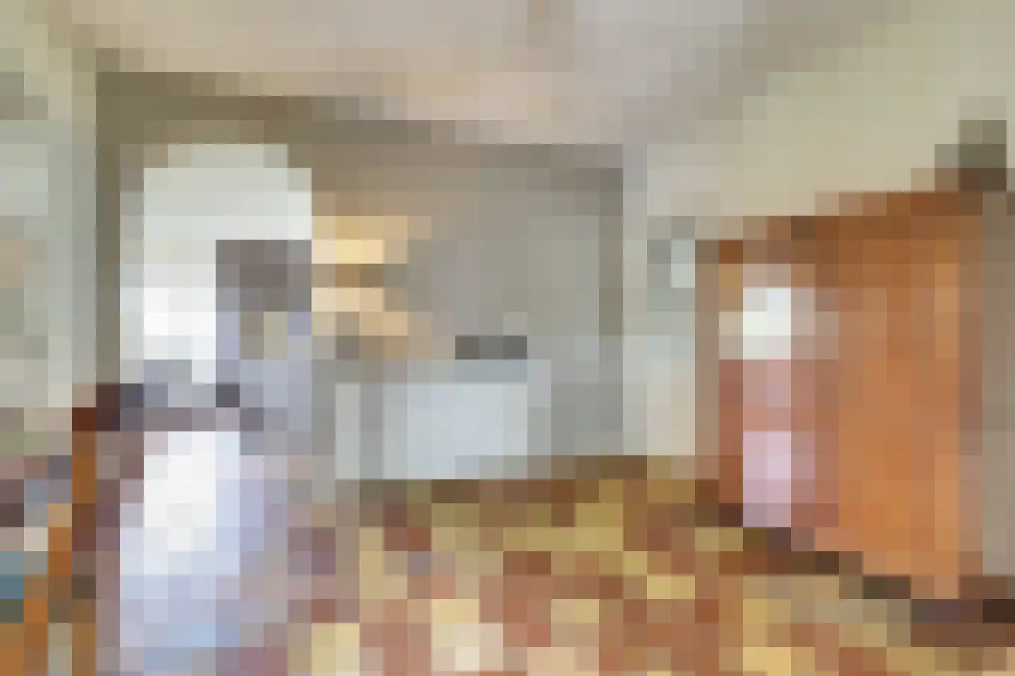 Hondsdijk 5 Escharen thumbnail 19