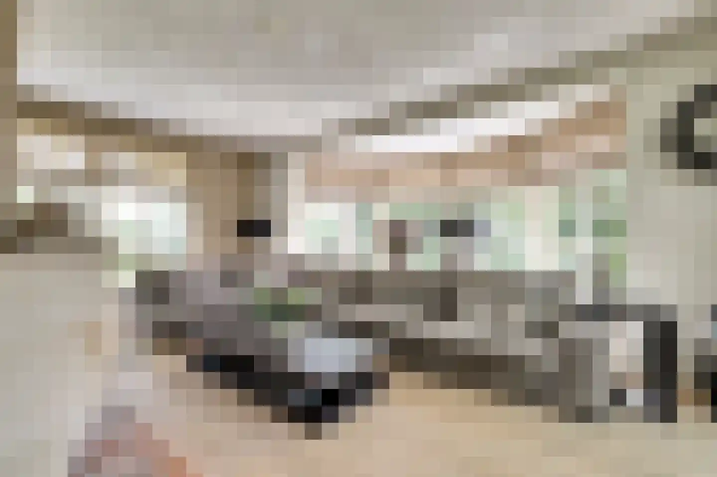 Hondsdijk 5 Escharen thumbnail 20