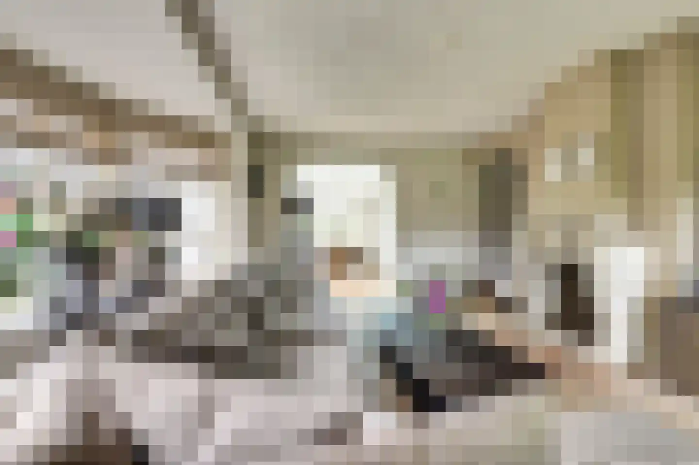 Hondsdijk 5 Escharen thumbnail 22