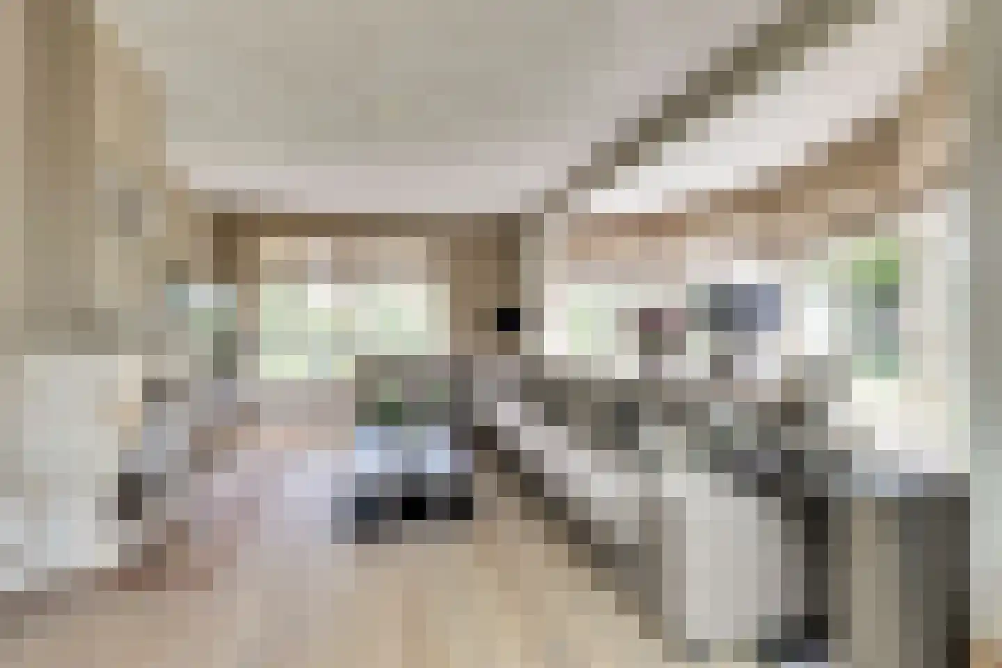 Hondsdijk 5 Escharen thumbnail 23