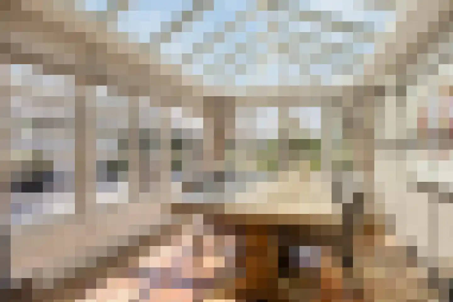 Hondsdijk 5 Escharen thumbnail 25