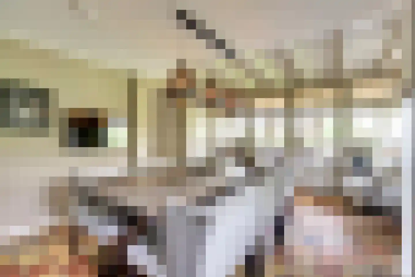 Hondsdijk 5 Escharen thumbnail 32