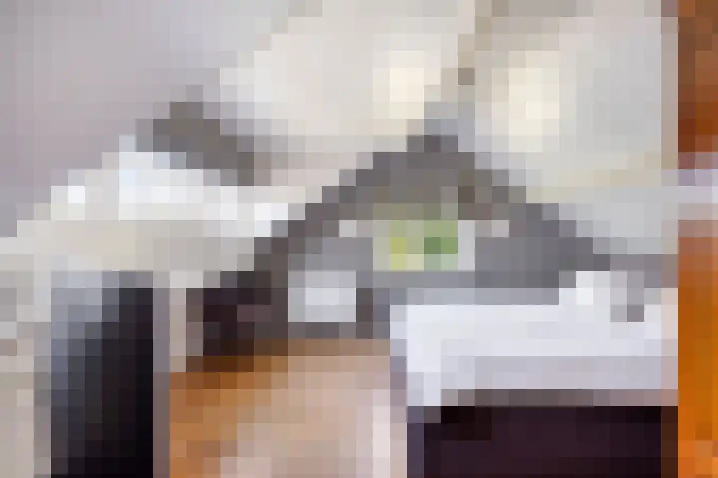 Hondsdijk 5 Escharen thumbnail 37