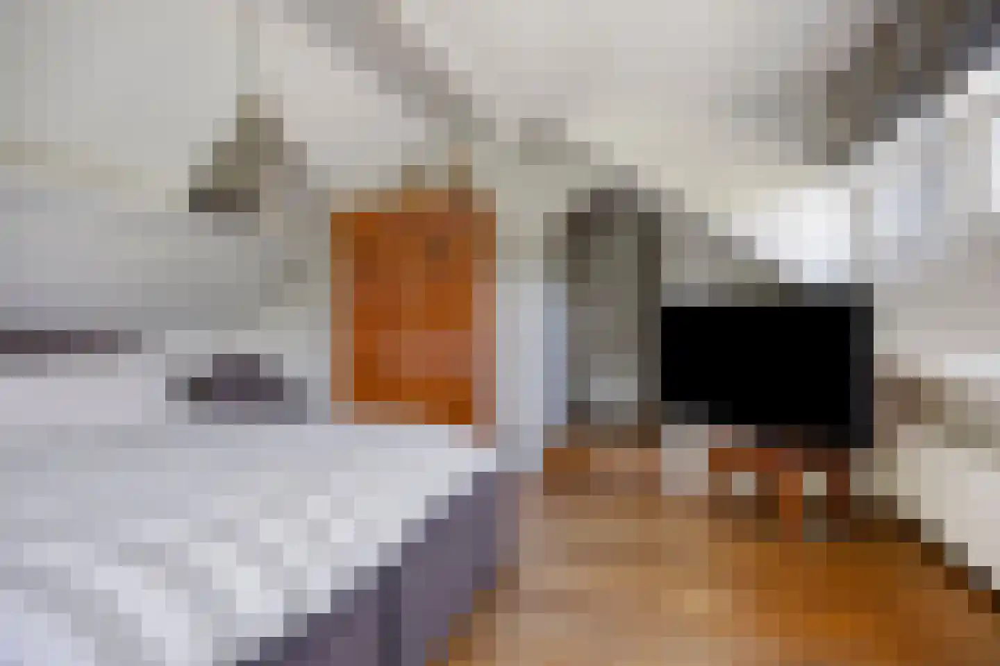 Hondsdijk 5 Escharen thumbnail 41
