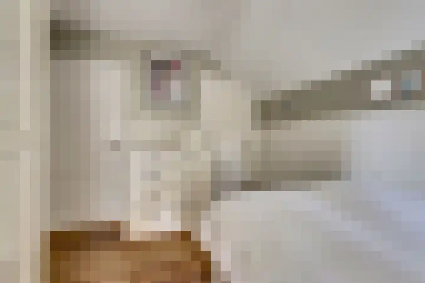 Hondsdijk 5 Escharen thumbnail 45