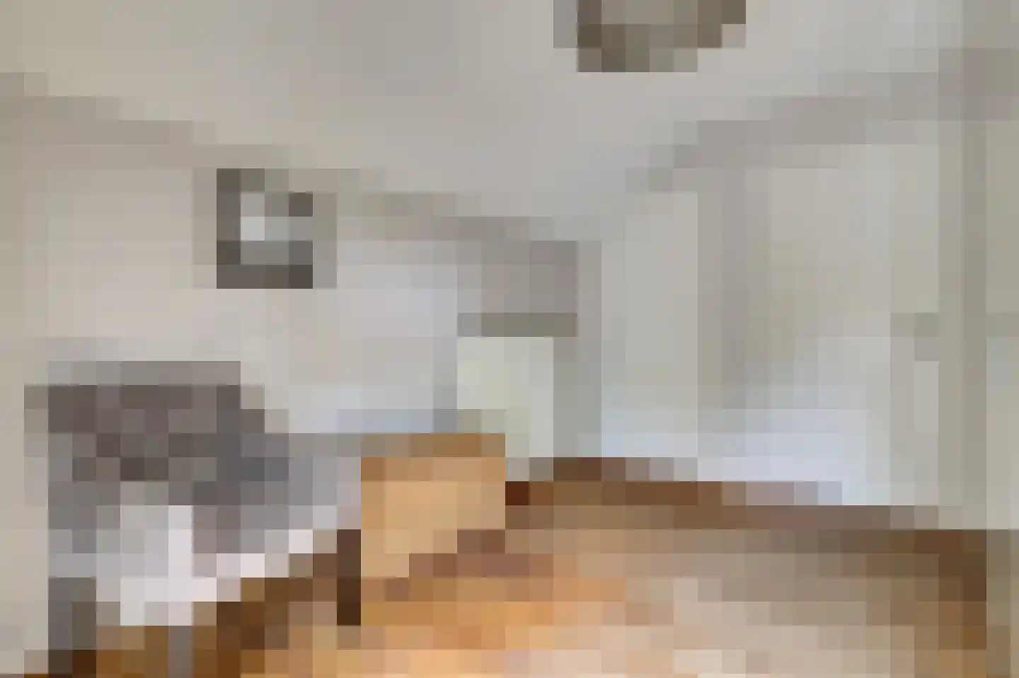 Hondsdijk 5 Escharen thumbnail 47