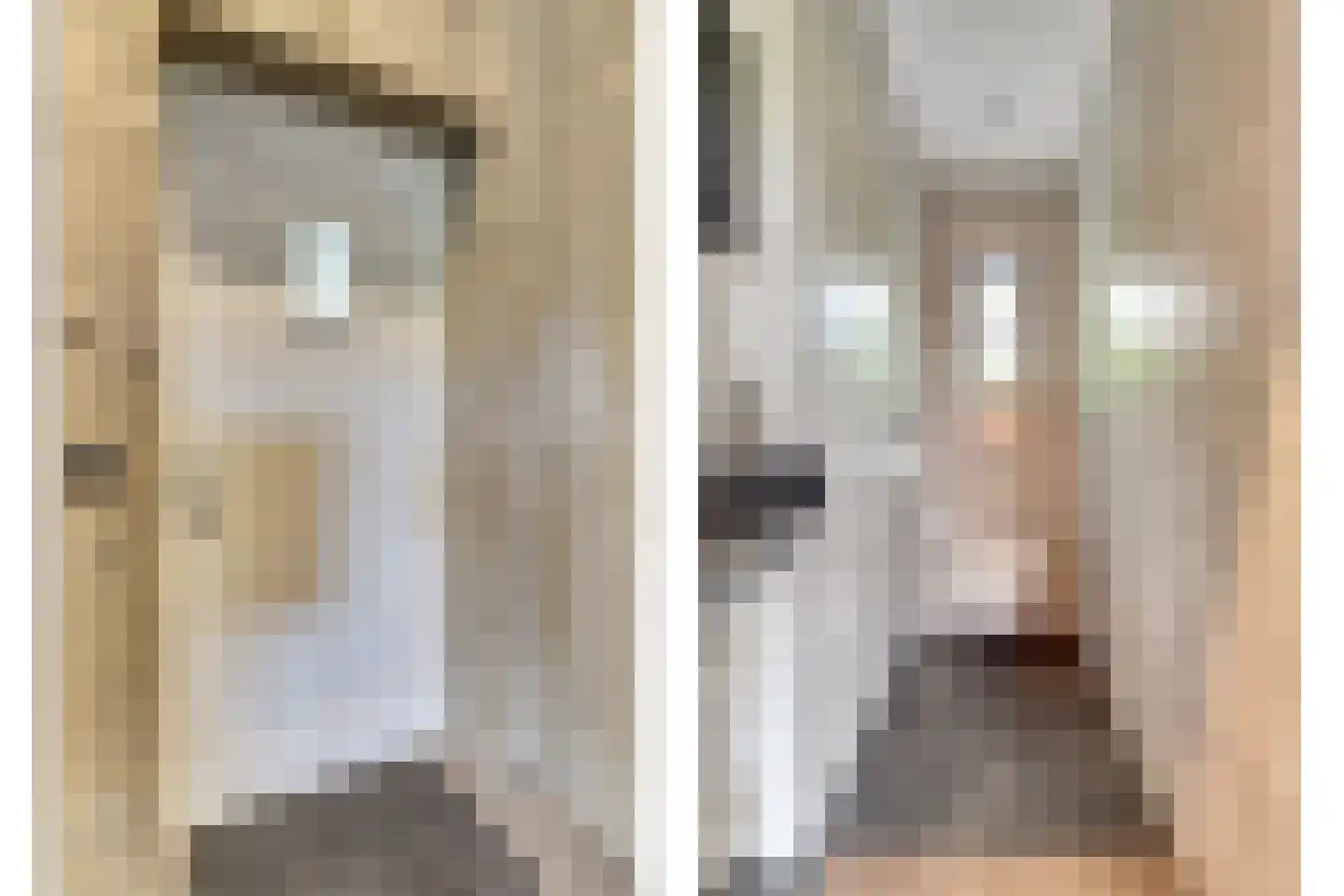Hondsdijk 5 Escharen thumbnail 61