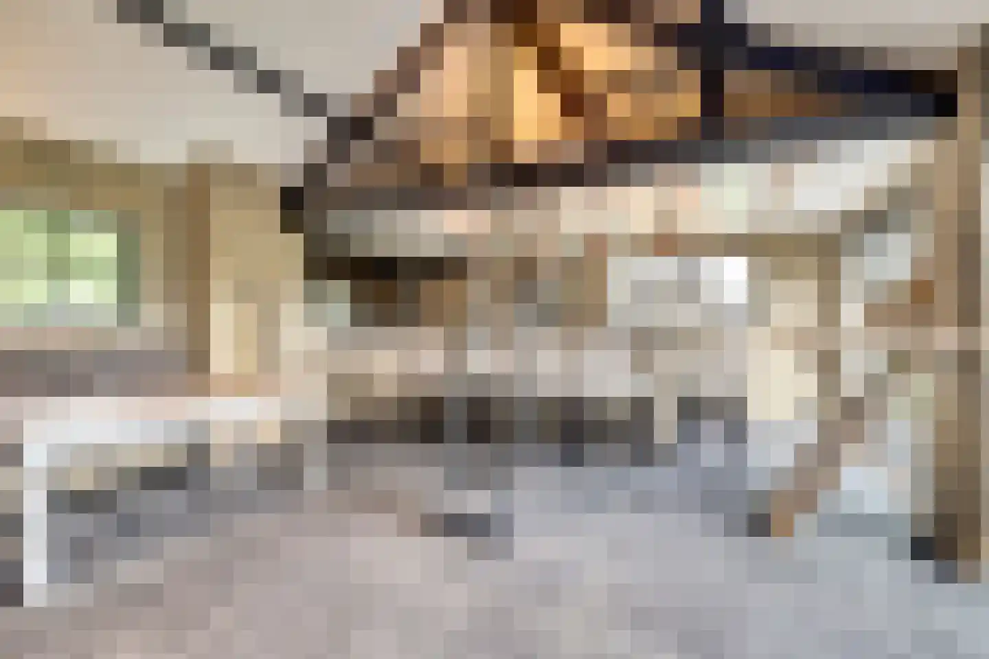 Hondsdijk 5 Escharen thumbnail 62